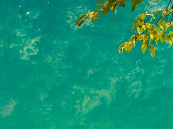 粉象生活怎么看上级邀请码