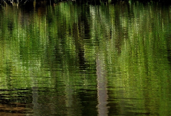 粉象生活怎么用免流量