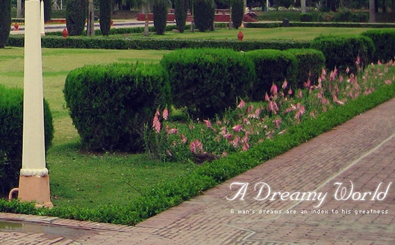 粉象生活下载app