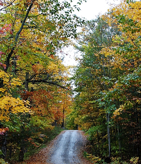 粉象生活官网加盟靠谱吗