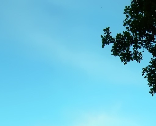 抖音掉粉排行榜怎么看