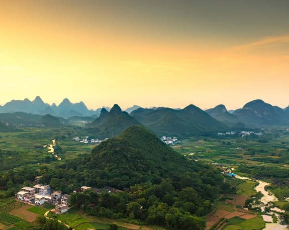 粉象生活裂变图