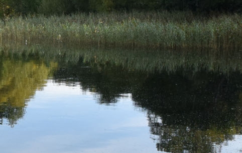 淘宝商品视频怎么下载