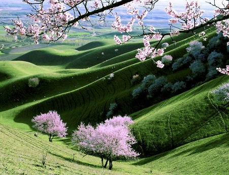 粉象生活诞生于