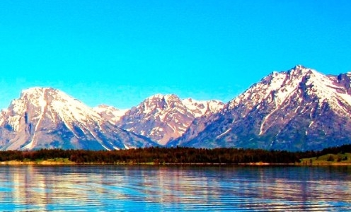 粉象挣钱是真的吗