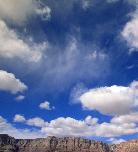 粉象生活为什么这么省钱