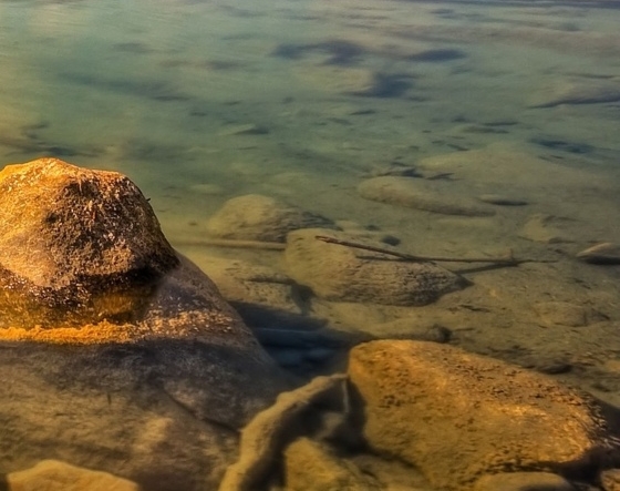 粉象生活邀请码