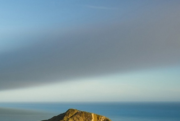 粉象生活优惠券在哪里找