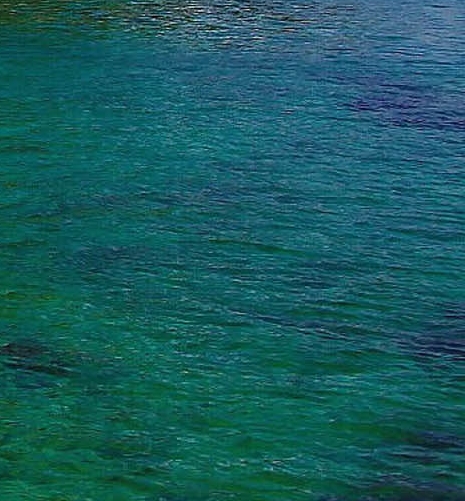 山东粉是什么做的