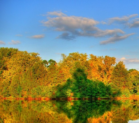 粉象生活怎么赚钱