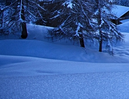 粉象生活分现金签到页面