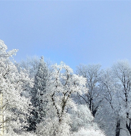 粉象生活怎么赚钱教程