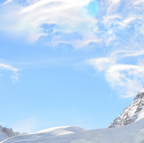 粉象生活如何升级的