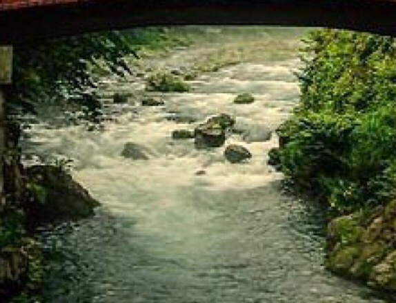 安徽加盟粉象生活app