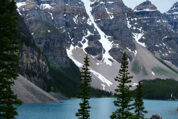 粉象生活邀请码