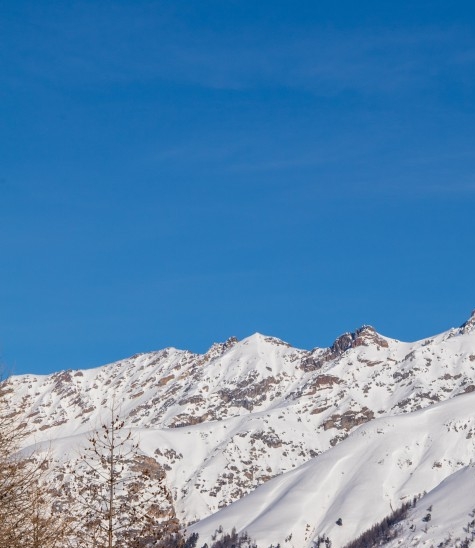 粉象生活邀请一人注册能挣多少
