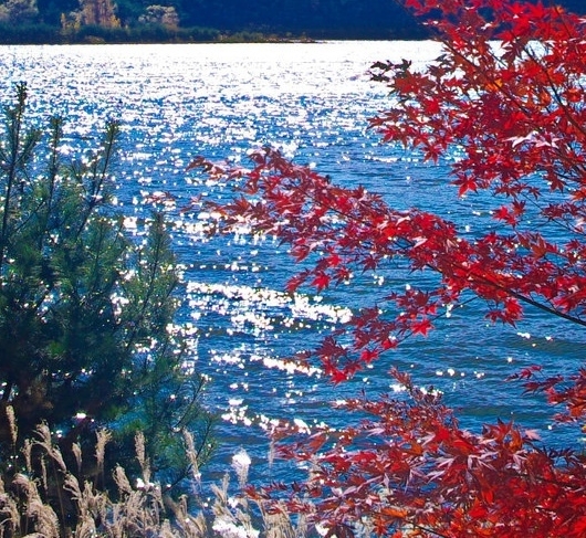 粉象生活怎么推广引流加粉丝