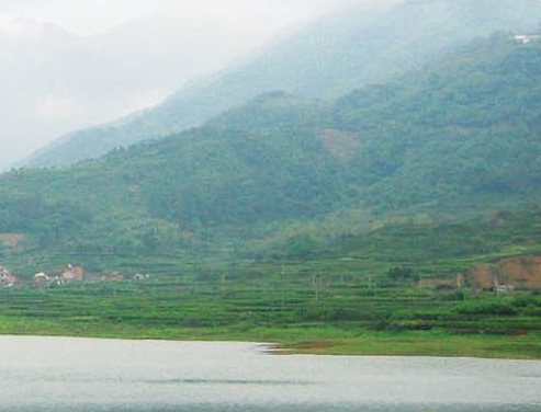 松原粉象生活代理