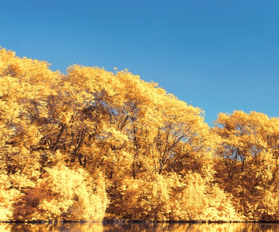 安徽运营粉象生活怎么赚钱