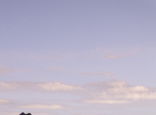 粉象生活一天几百是真是假