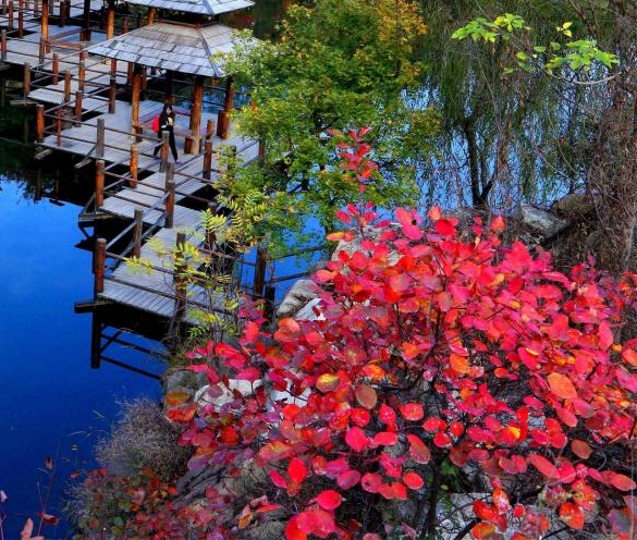 江西九象怎么样