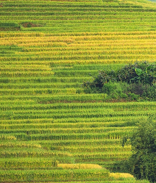 粉象生活购物可以分期吗
