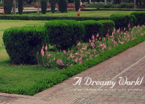 选择粉象生活app