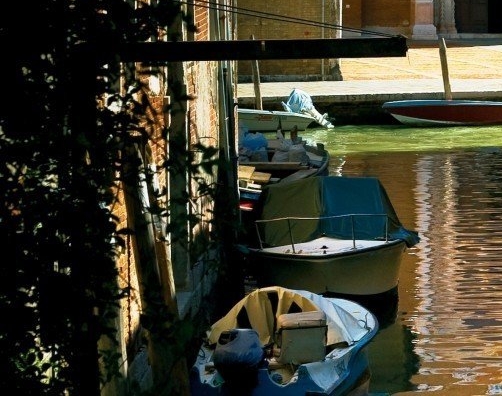 粉象生活怎么赚钱