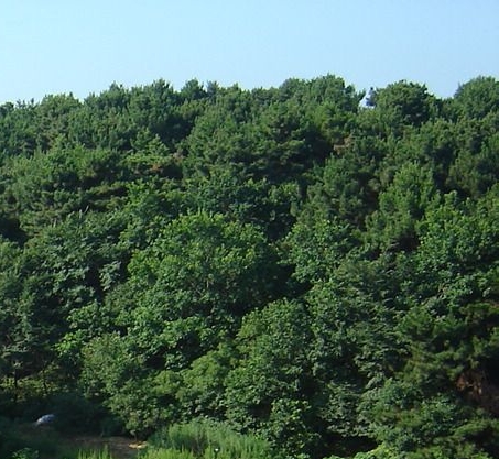 淘宝商品怎么推广