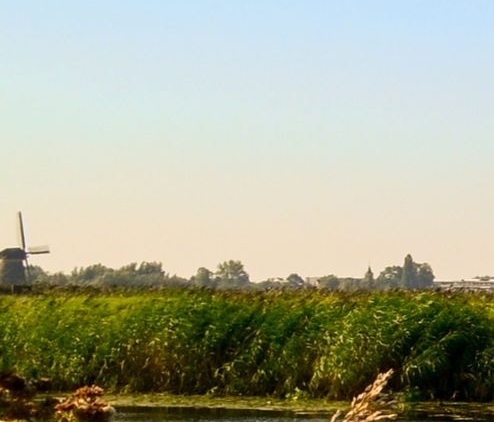 菜鸟驿站和兔喜生活可以一起开吗