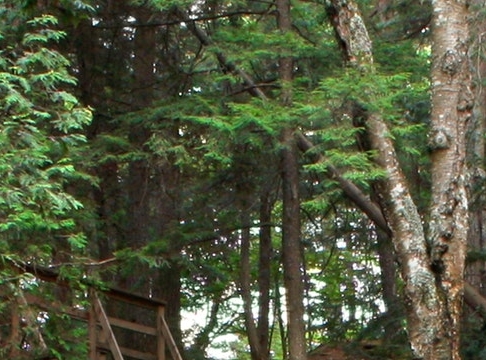 粉象生活一天几百是真是假