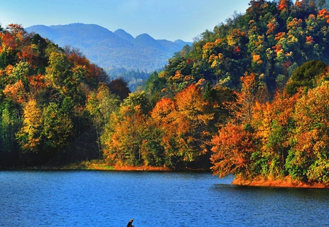 粉象生活邀请人怎么看