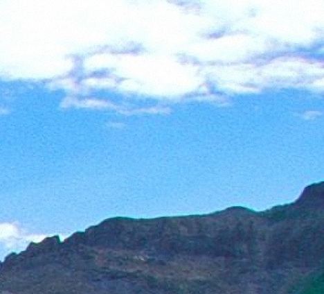 粉象生活开店宝