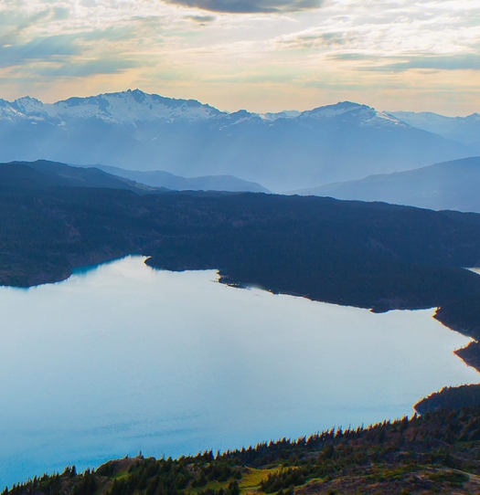 粉象生活购物平台靠谱吗