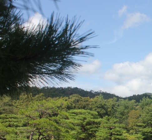 兔喜生活和菜鸟驿站哪个好
