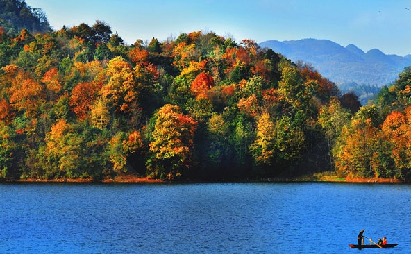 粉象生活赚钱教程