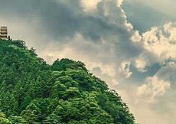 湖南正规粉象生活邀请人