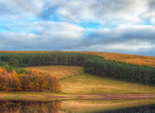 粉象生活怎么推广引流加粉丝