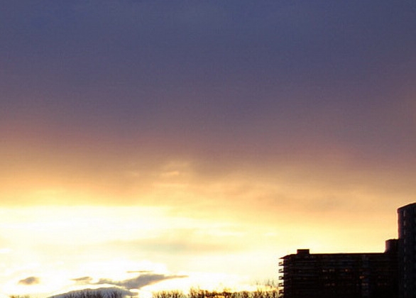 粉象生活推广商品