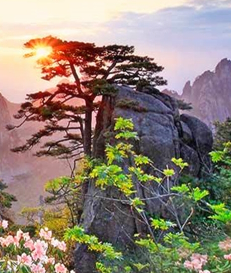 安徽高端粉象生活邀请人