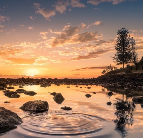 阳江粉象生活合伙人