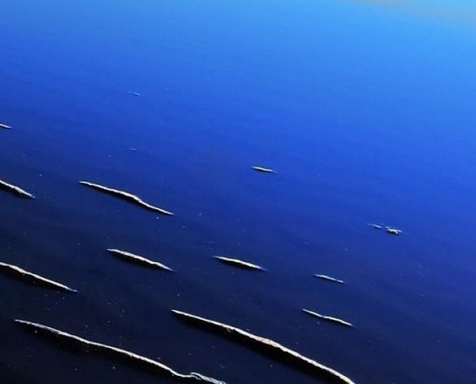 粉象生活粉丝升级我有多少佣金