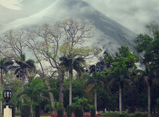 粉象是什么平台