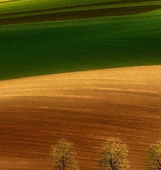 拼多多和粉象生活有合作吗