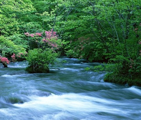 粉象生活邀请码