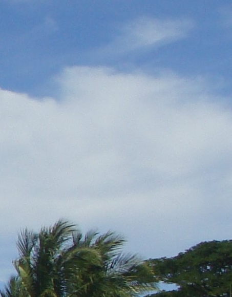 双十一具体怎么使用