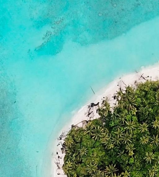 粉象生活可以赚钱吗