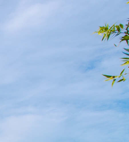 辽宁一站式粉象生活