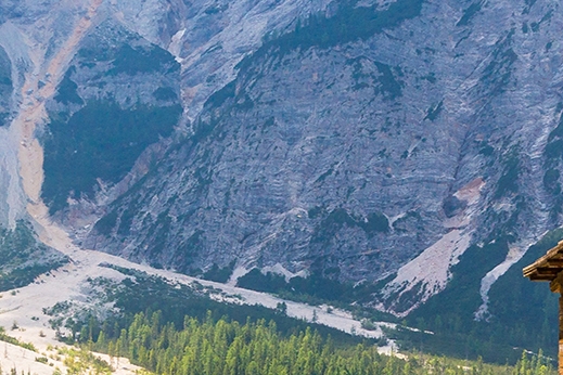 粉象生活可以赚钱吗