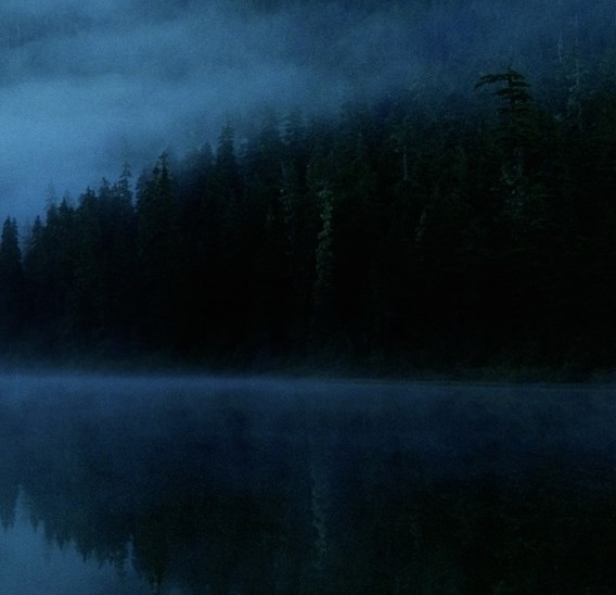 粉象生活邀请码填哪个好